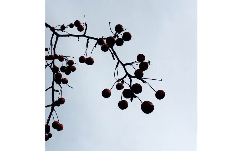 成熟設(shè)計是多年內(nèi)功修煉的展現(xiàn)