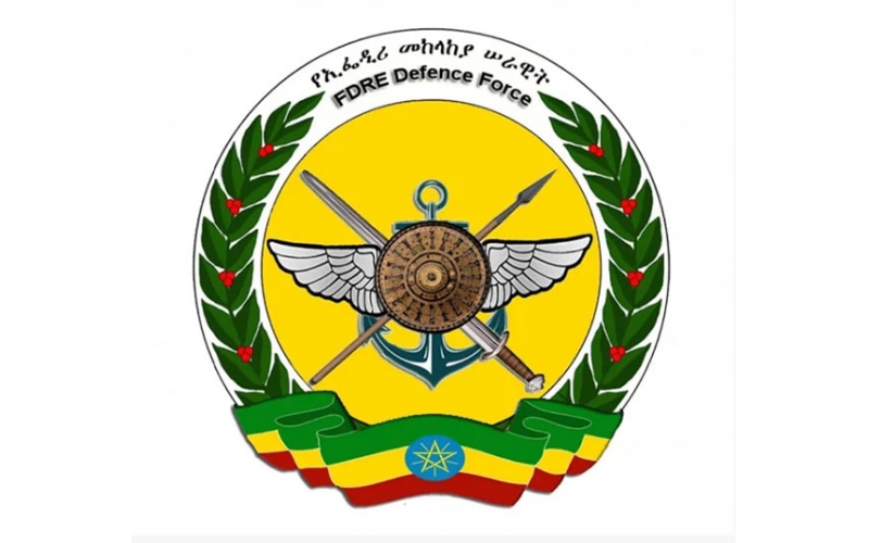 埃塞俄比亞國(guó)防軍近期發(fā)布了新徽標(biāo)設(shè)計(jì)